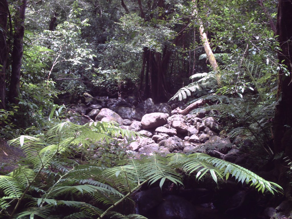 Oahu