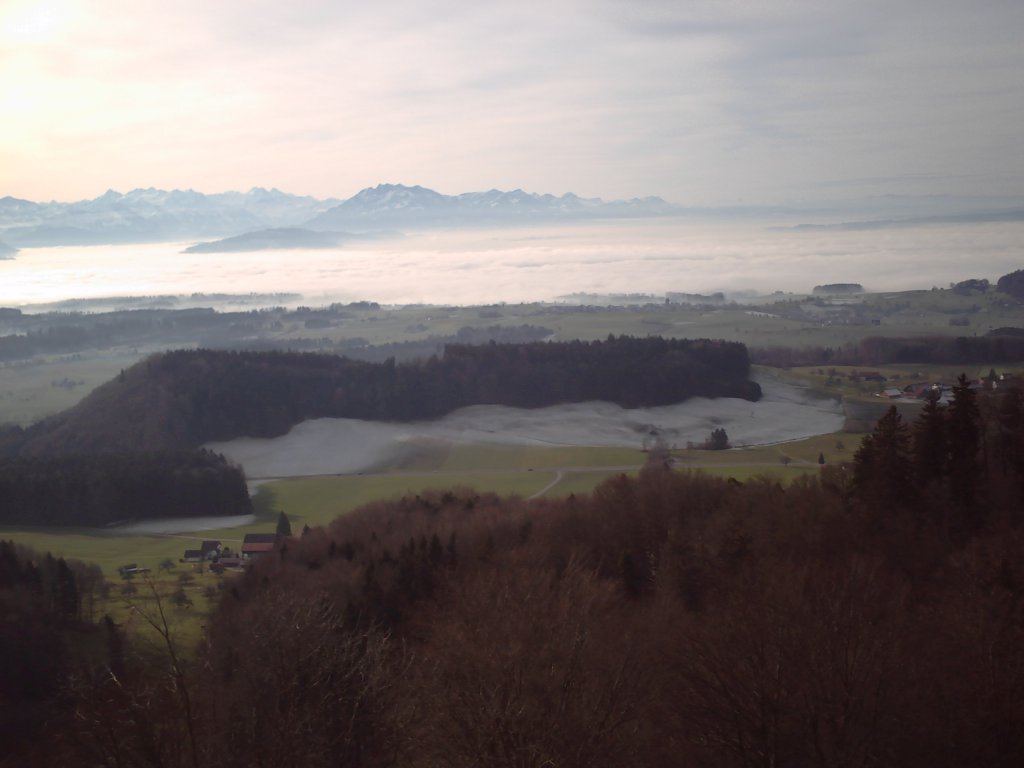 Foggy region
