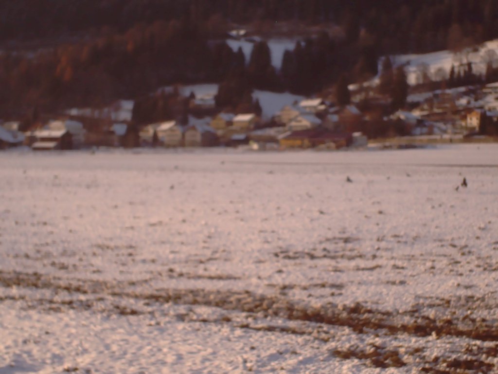 Snow backdrop