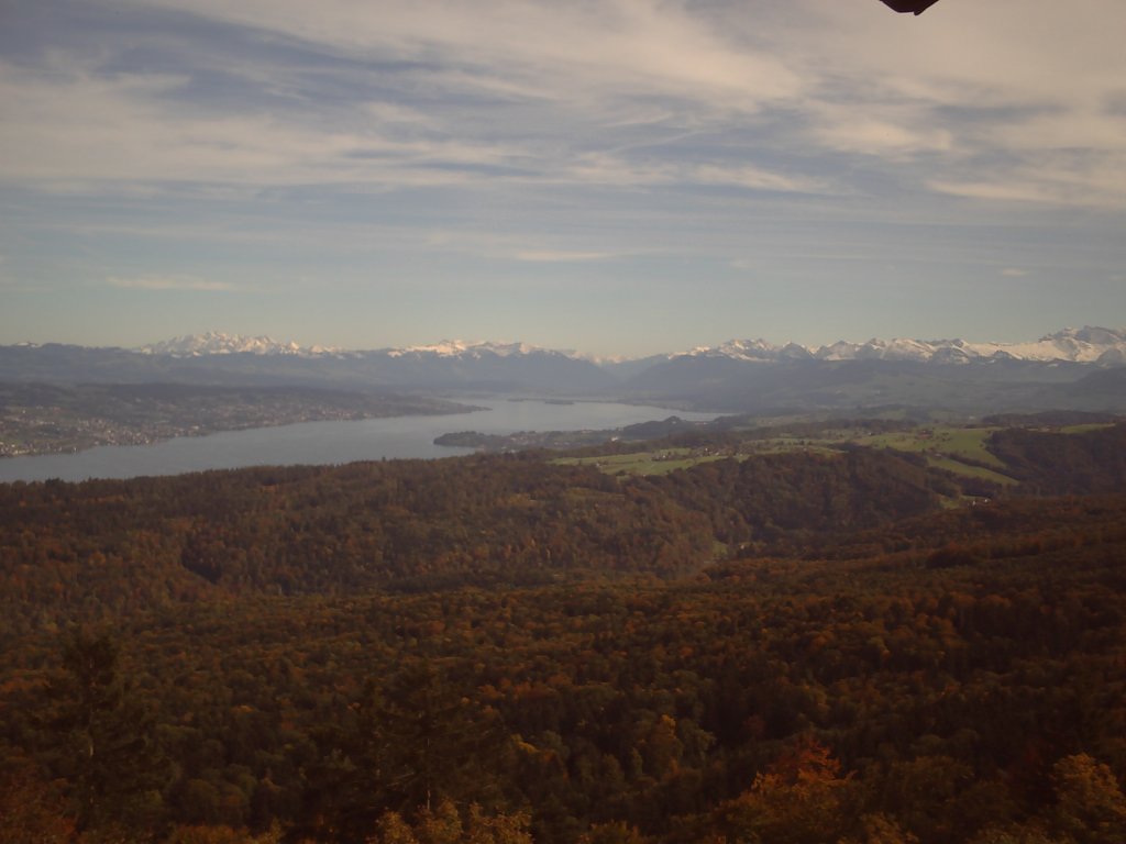 View on Pfäffikon SZ