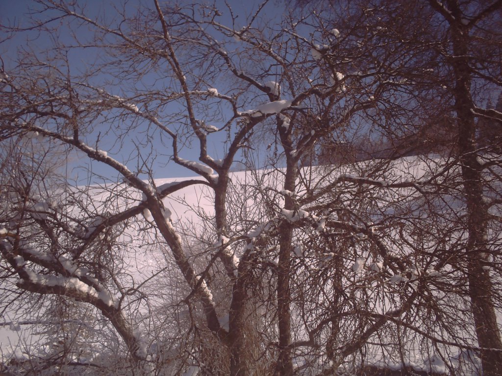 Snow