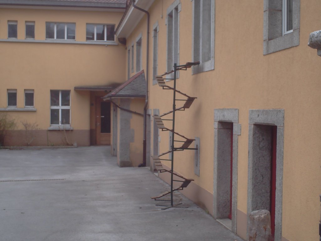 Cat stairs